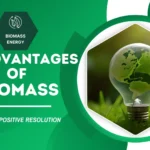 bio-mass-energy