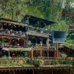 green-building-materials
