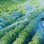 smart-irrigation-system